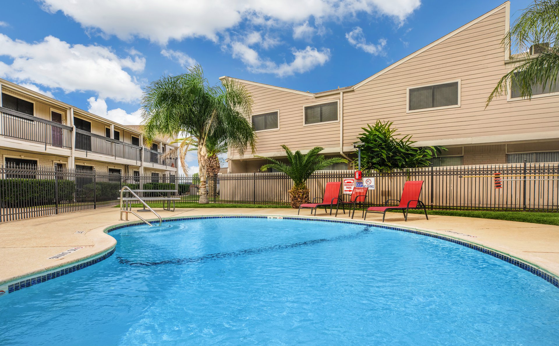 a swimming pool with palm trees
