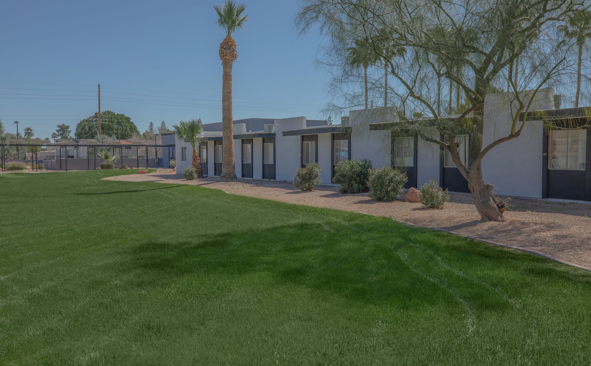 a large lawn in front of a house