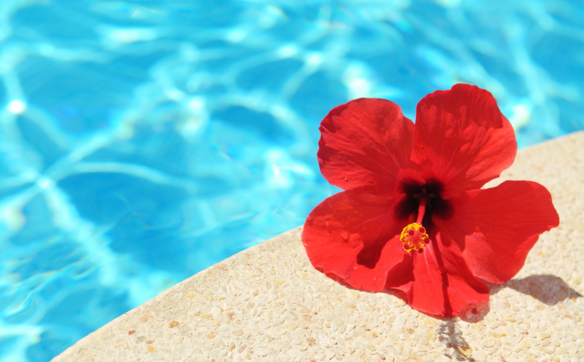 Apple Creek Apartments Apartment Living in Sand Springs, OK