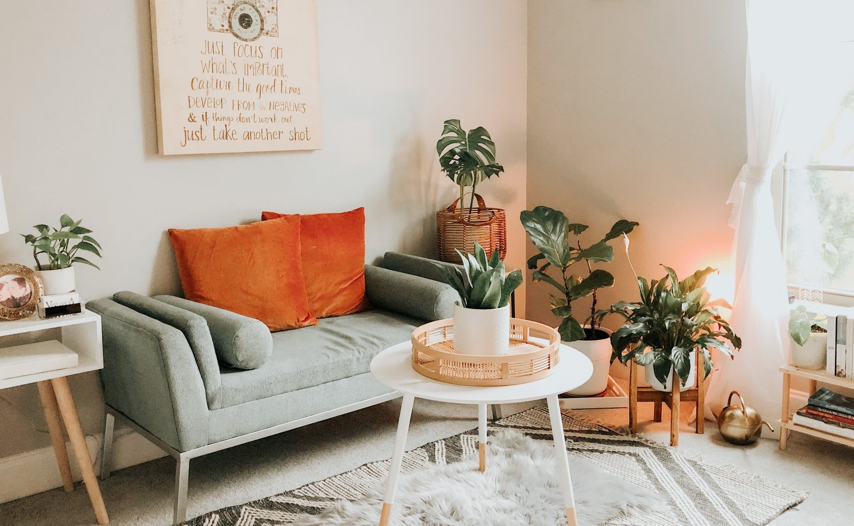 a living room filled with furniture and plants
