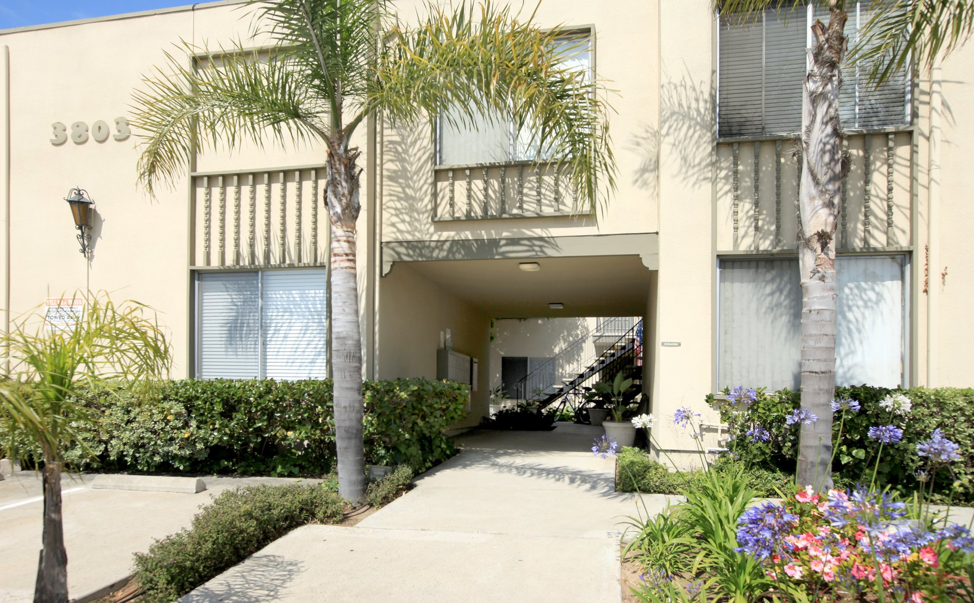a close up of a flower garden in front of a building