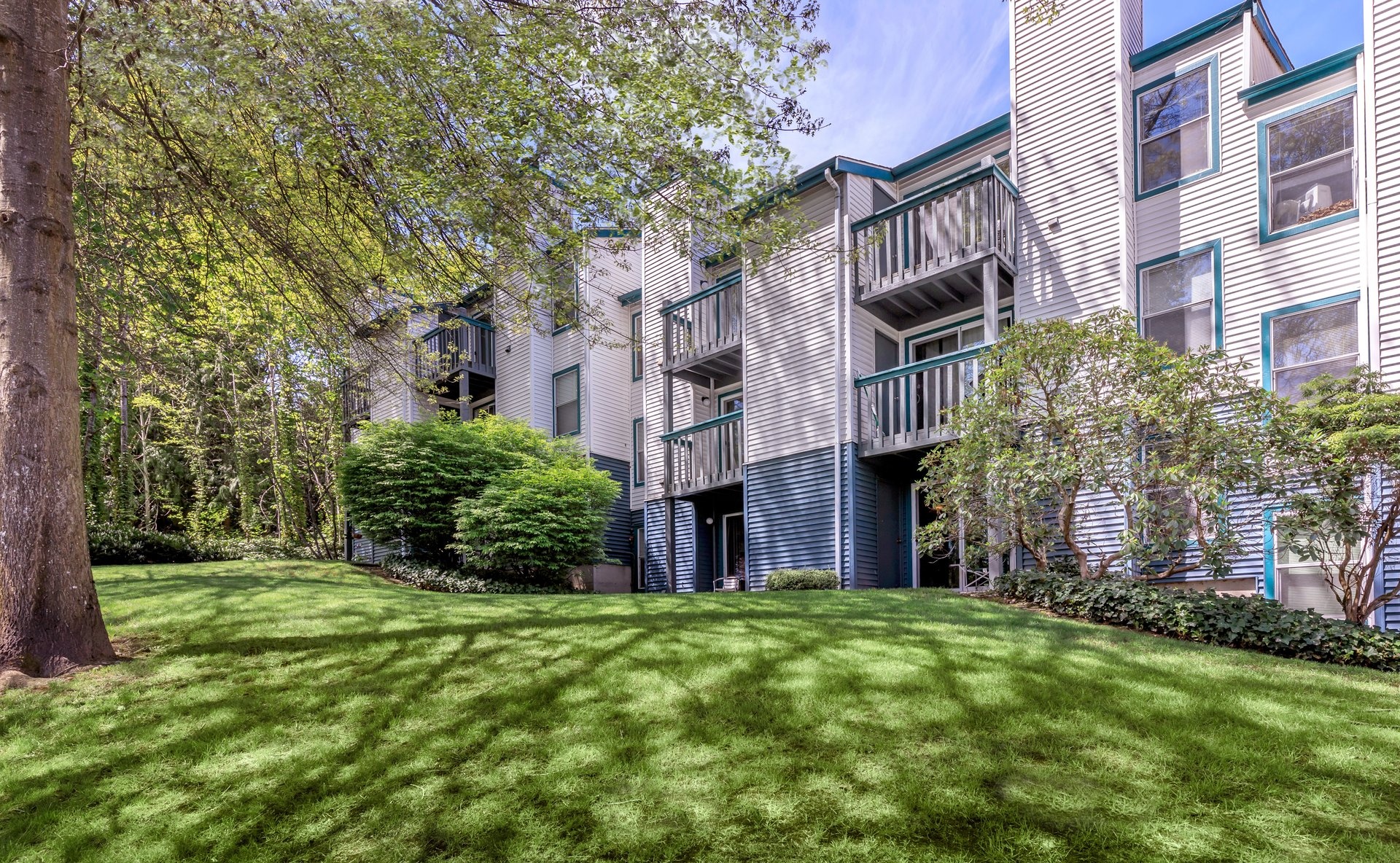 a large green field with trees in the background